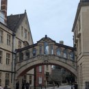 인어씨스터즈 | 런던근교여행(세븐시스터즈/윈저성_옥스포드_스톤헨지)