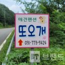 또오개 이미지