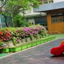 꿈열매유치원 이미지