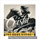 윤석란공인중개사사무소 이미지