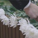 대한더라이프