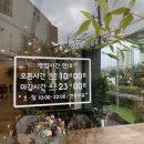 카페화정리