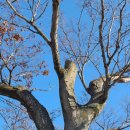 사촌보건진료소 이미지