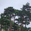 김유진 건축사사무소 이미지