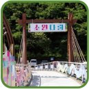 대천주민센터 마당 | 한산모시문화제 기본정보, 프로그램, 초대가수