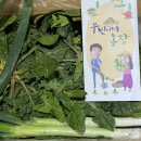 우빈농장 이미지