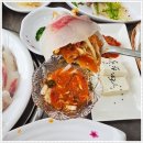 회를품은닭 이미지