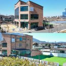 플레이독 애견유치원 이미지