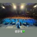 공연일번지 | 2025.05ㅣ🧩