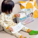 마신소프트 | 팸퍼스 엔젤브리즈 소프트팬티 / 베이비드라이 기저귀추천, 배변훈련 막바지 31개월 리얼후기