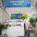보물섬황칠