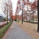 더원부동산공인중개사사무소 이미지