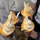 경진여객운수(주) | [9.12]락인재팬 여행기 1