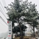 여주-0879 이미지