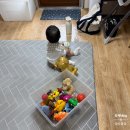 스튜디오청록 | [돌잔치준비] 한옥스튜디오 예담헌 종로본점_심플스페셜 전통돌사진 후기