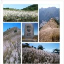 2012년 10월 21일 제18차 정기산행 - 강원 정선 민둥산(1,119m) 이미지