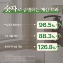 살롱드베이 | 대용량 향수 바디워시 추천ㅣ바디브 미오 바디워시 메종 드 팔라스 후기