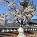 [전주여행] 전주한옥마을 주차꿀팁 전주여행 한옥마을간식추천 한옥마을 유명한맛집 인스타맛집 총정리...