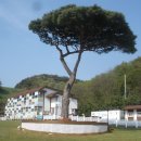 모석원