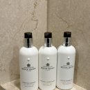 캘리그라피2(야간) | [제주 신라호텔] 겨울 태교여행(헬스장, 겨울 야간 수영장, 공연, 선베드, 바디필로우, 가습기, OTT 이용)