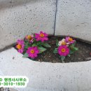 빛고을행정사 이미지