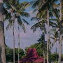 C호텔 리조트 이미지