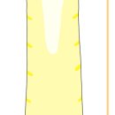 레보(REVO) 이미지