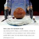 '4천년전 멸종' 매머드 DNA 바탕으로 세포 배양해 만든 미트볼 이미지