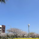 ㈜드림관광렌트카 | [맛집후기] 제주도 맛집