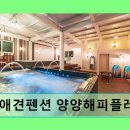 속초 애견펜션 양양 해피 플레이스 | 양양 애견펜션 추천 속초애견펜션 양양해피플레이스 친절·깨끗함 입증된 공간