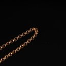 베이비펫 이미지