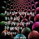 🎍사울의 사람들을 품는 다윗의 리더십 이미지