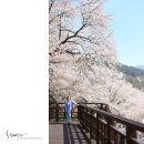 피오나 - 남양주시 마석로 27-6 | 피오나