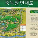 대나무향기