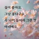 고고싱떡볶이무실점 | [일상] 이모저모고모 모음집