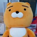 연지세탁&운동화 | [옥길동 빨래방] 왕 인형 빨래방 세탁후기