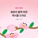 카카오뱅크 벚꽃피우고 랜덤현금받기 이미지
