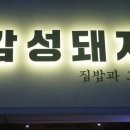 감성돼지 이미지