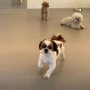 헬로우