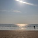 부산교통공단전포분소동 | 새해 같지 않은,