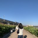 어시스트 서울(ASSIST SEOUL)