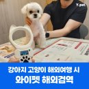 마린숲 동물병원 | 부산, 울산, 경남 강아지 고양이 반려동물 해외검역 / 마린숲 동물병원, 숲 동물병원에서!