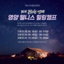 힐링Fit영양