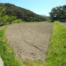 운암리농장 이미지