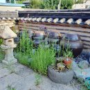 한옥스테이 행복한 집 이미지