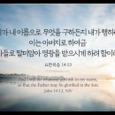 오늘의 '영어성경 사진'(318강) “기도응답의 조건”(요한복음 14장 13절) 이미지