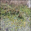 PYB행정사사무소 이미지