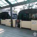 신항민박 이미지