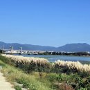 경전철평강역 | 부산 강서구 대저 오런카페 도심속 힐링카페 추천