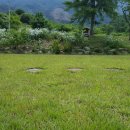 리버힐즈 캠핑장(푸른농원) | 강원 영월군캠핑장(야영장) 위치 여섯번째이야기